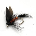 Black and Orange Wet Fly - 12 - 1/1/36