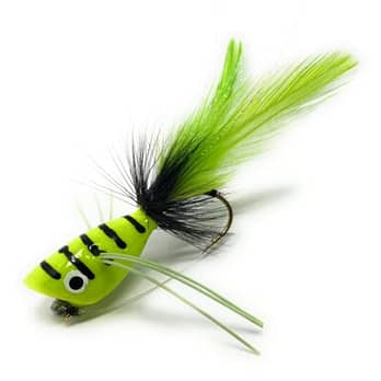 Chartreuse Black Stripped Popper