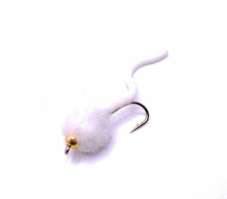 BH Egg Suckling Squiggly Worm - White