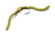 BH Squiggly San Juan Worm - Olive - 10 - 18-2-1